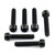 Titanium Top & Bottom Clamp Yoke Pinch Kit Torx Drive Black Titanium Top & Bottom Clamp Yoke Pinch Kit Torx Drive Black