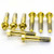 Titanium Top & Bottom Clamp Yoke Pinch Kit Gold