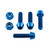 Titanium Pillion Footrest Hanger Bolt Kit Blue