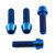 Titanium Rider Footrest Hanger Bolt Kit Blue