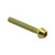 Titanium Socket Cap Bolt M3x(0.50mm)x20mm Gold