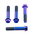 Titanium Front Brake Caliper Mount Bolt Kit Purple Haze