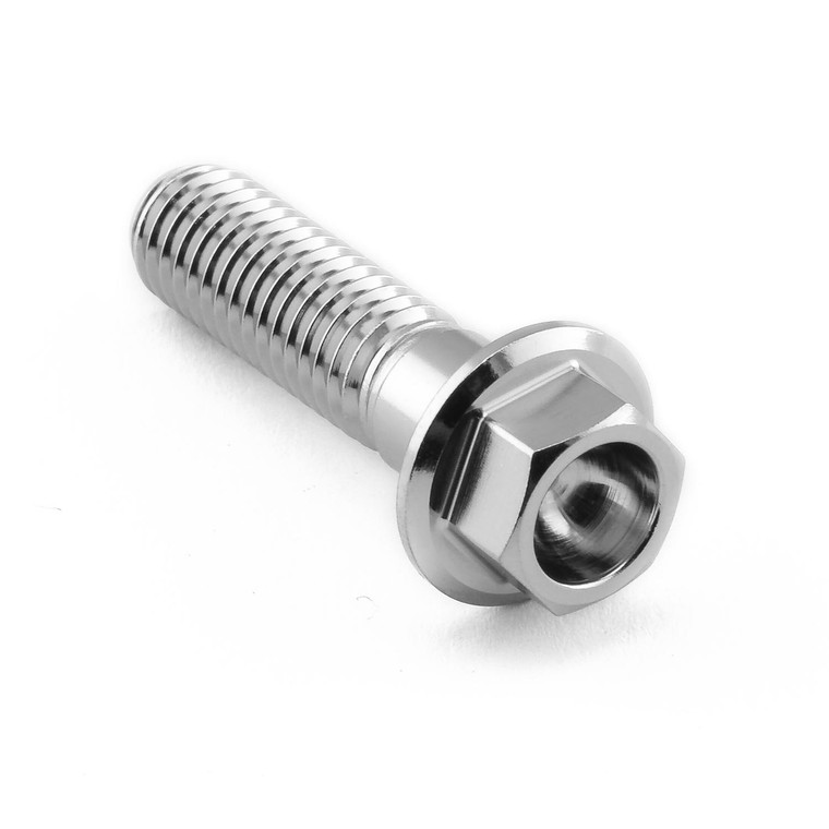 Stainless Steel Flanged Hex Head Bolt M8x(1.25mm)x30mm