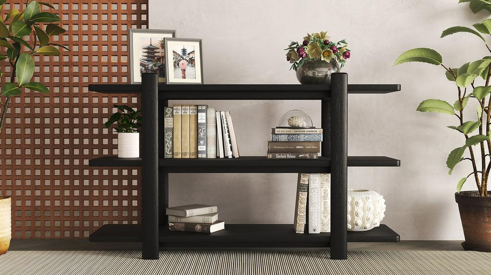 Small bookshelf with plant and art