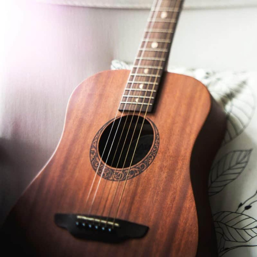 The Evolution of the Guitar The Evolution of the Guitar