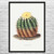 Golden Barrel Cactus Botanical Art Print Golden Barrel Cactus Botanical Art Print