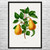Pear Botanical Art Print Pear Botanical Art Print