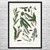 Caterpillars on Plants Botanical Art Print Caterpillars on Plants Botanical Art Print