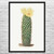 Hedgehog Cactus Botanical Art Print Hedgehog Cactus Botanical Art Print