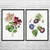 Flowers Botanical Art Prints Set of 2 Flowers Botanical Art Prints Set of 2