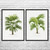 Palm Tree Botanical Art Prints Set of 2