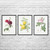 Rose Botanical Art Prints Set of 3 Rose Botanical Art Prints Set of 3