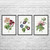 Flowers Botanical Art Prints Set of 3 Flowers Botanical Art Prints Set of 3