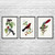 Birds Botanical Art Prints Set of 3