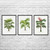 Palm Tree Botanical Art Prints Set of 3 Palm Tree Botanical Art Prints Set of 3