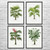 Palm Tree Botanical Art Prints Set of 4 Palm Tree Botanical Art Prints Set of 4