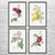 Rose Botanical Art Prints Set of 4