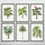 Palm Tree Botanical Art Prints Set of 6 Palm Tree Botanical Art Prints Set of 6