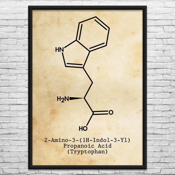 Tryptophan Molecule Wall Art