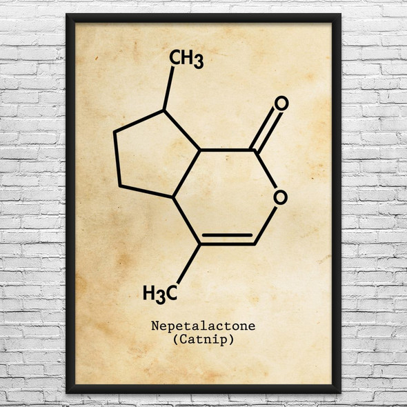 Nepetalactone Catnip Molecule Wall Art