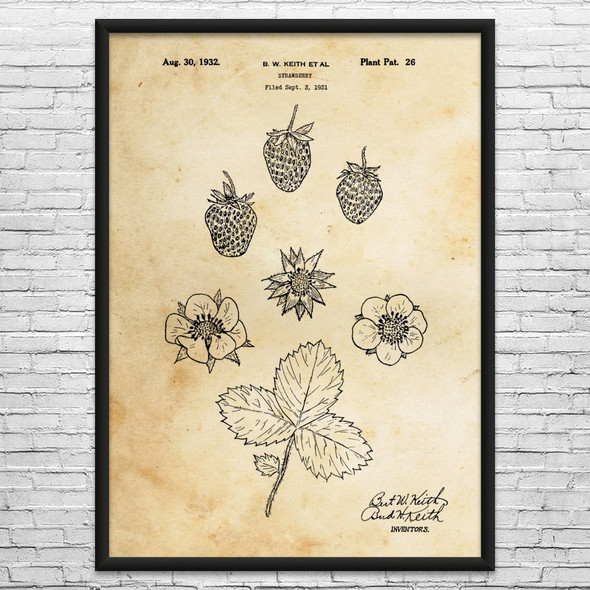 Strawberry Fruit Patent Wall Art