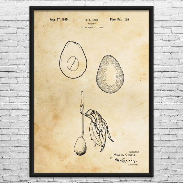 Avocado Patent Wall Art