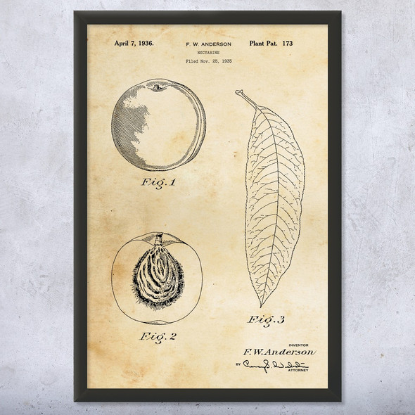 Nectarine Patent Wall Art