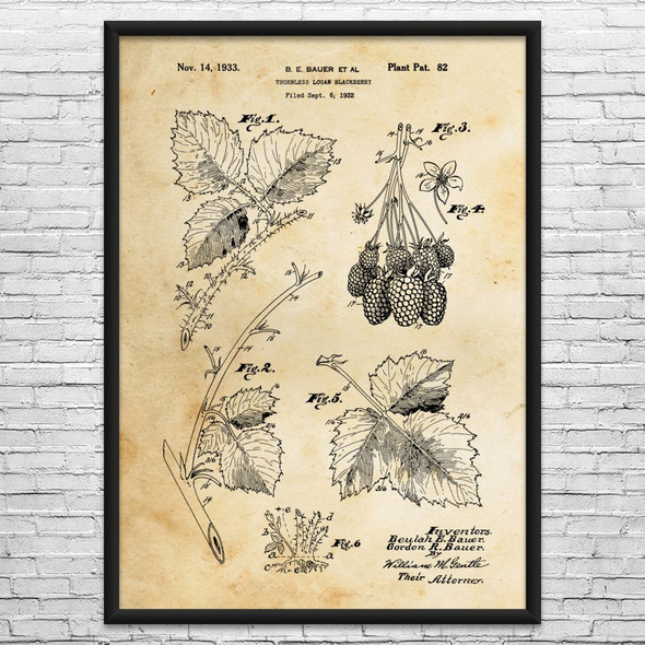 Blackberry Fruit Patent Wall Art