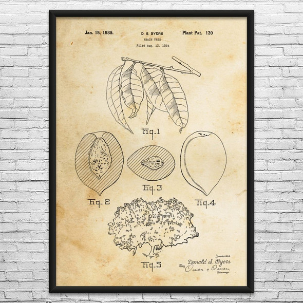 Peach Tree Patent Wall Art