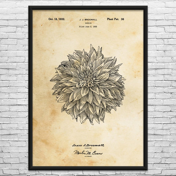Dahlia Flower Patent Wall Art