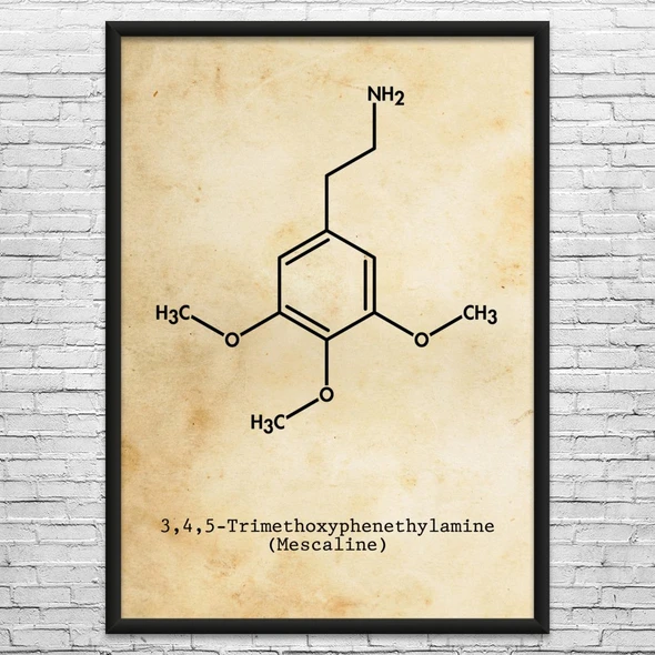 Mescaline Molecule Wall Art