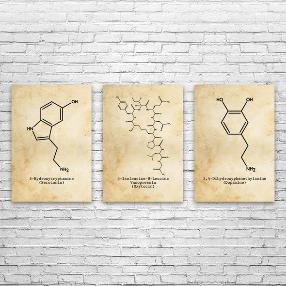Neurotransmitter Molecules Wall Art Set of 3