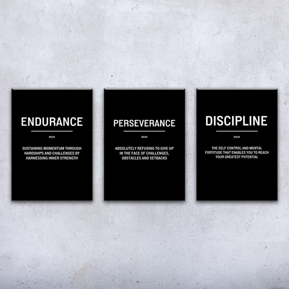 Endurance Motivational Prints Set of 3