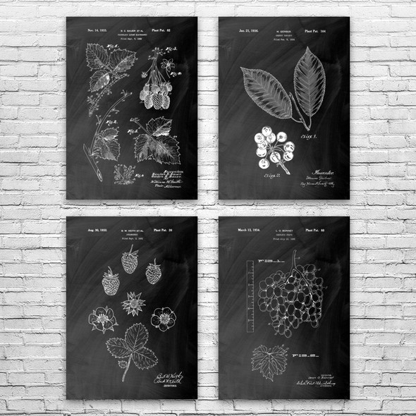 Fruit Patent Wall Art Set of 4