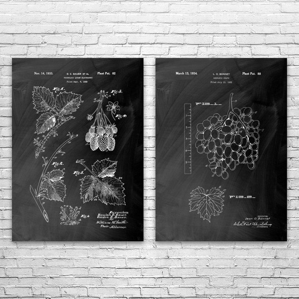 Fruit Patent Wall Art Set of 2