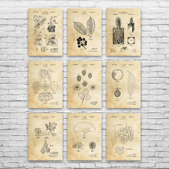 Fruit Patent Wall Art Set of 9