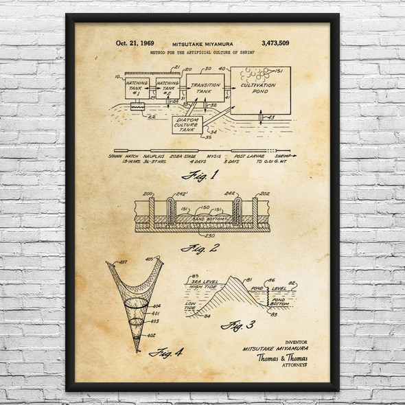 Shrimp Hatchery Patent Wall Art