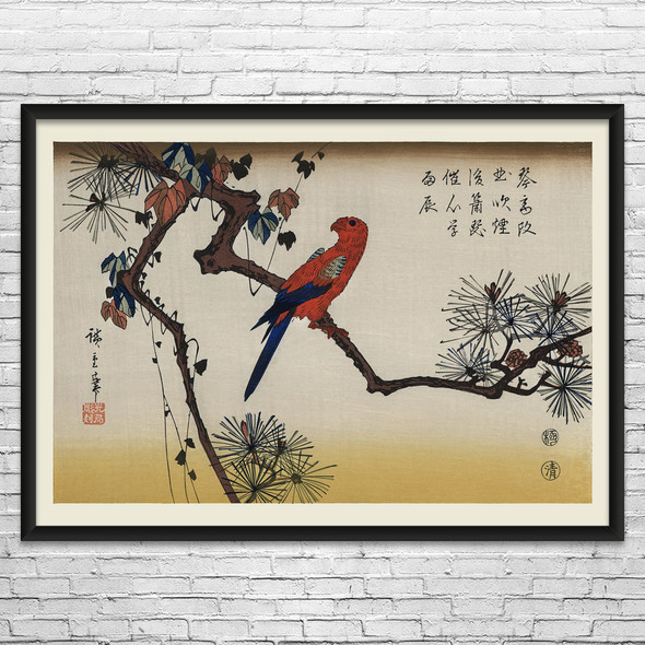 Macaw on Pine Branch Ukiyo-e Wall Art Macaw on Pine Branch Ukiyo-e Wall Art