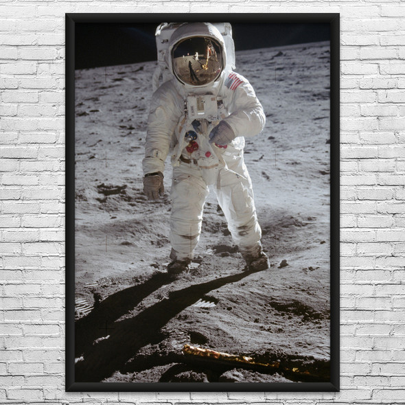 Aldrin Moon Walk Space Wall Art