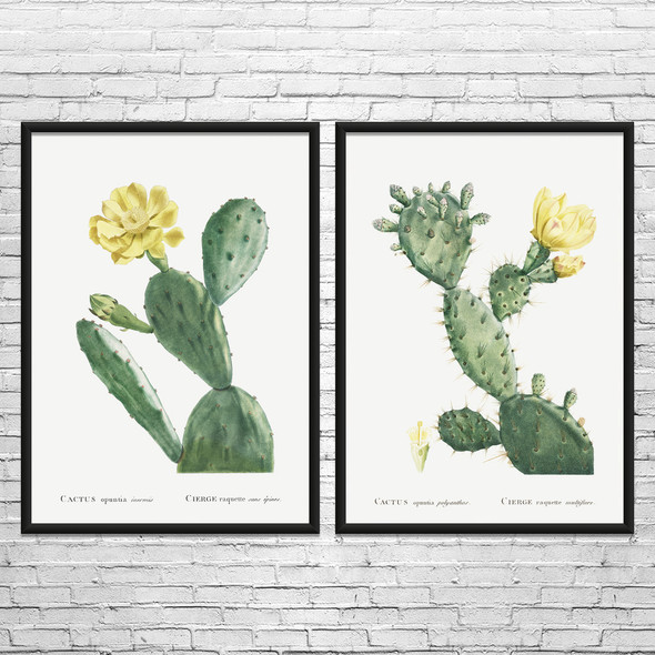 Prickly Pear Cactus Botanical Art Prints Set of 2