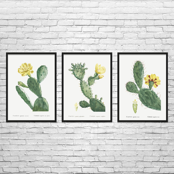 Prickly Pear Cactus Botanical Art Prints Set of 3
