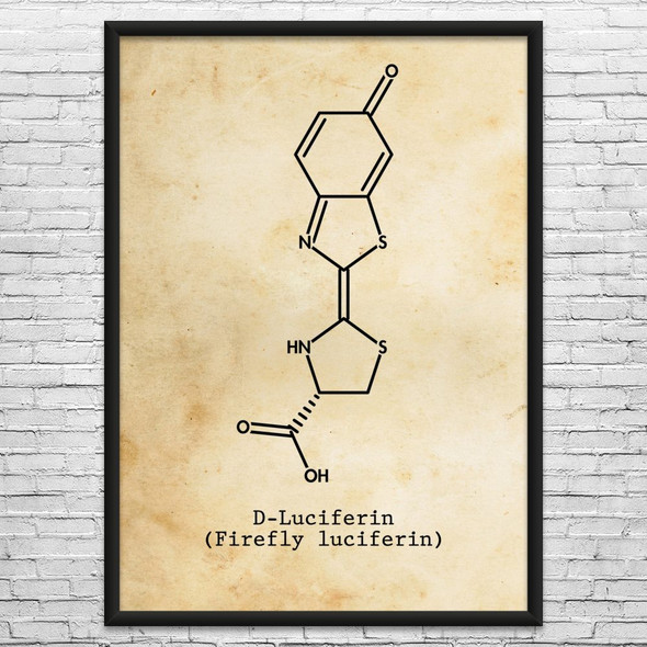 Luciferin Molecule Wall Art