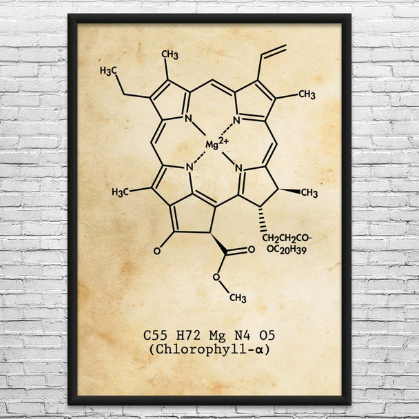 Chlorophyll Molecule Wall Art