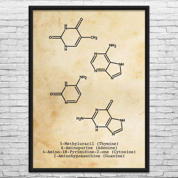 DNA Molecules Wall Art