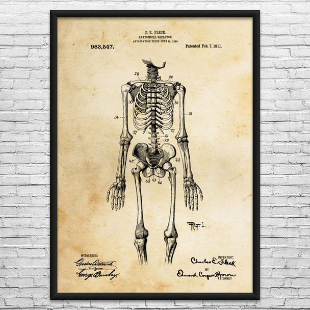 Anatomical Skeleton Patent Wall Art
