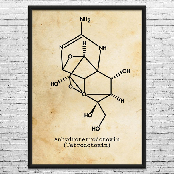 Fugu Fish Tetrodotoxin Molecule Wall Art