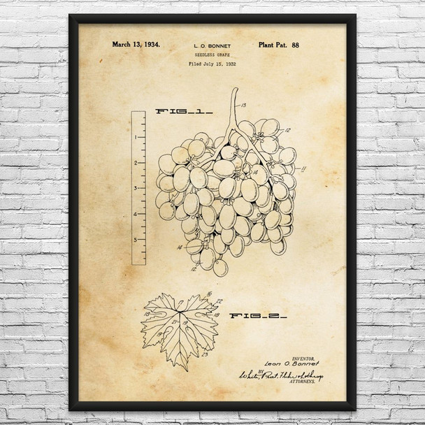 Seedless Grapes Patent Wall Art