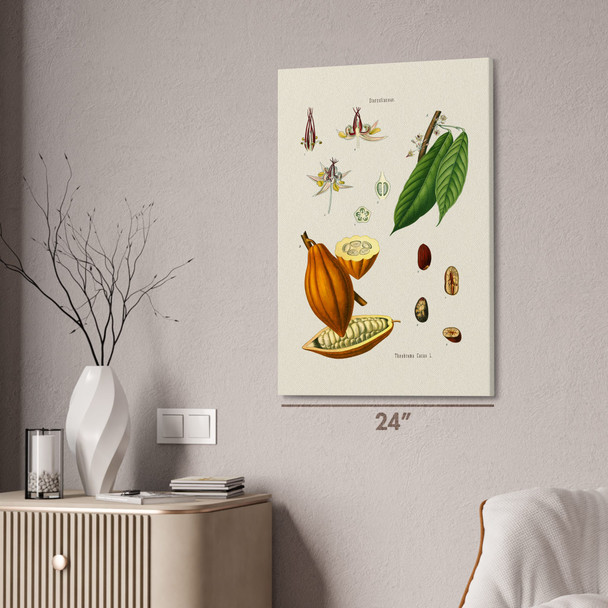 Cocoa Botanical Art Print