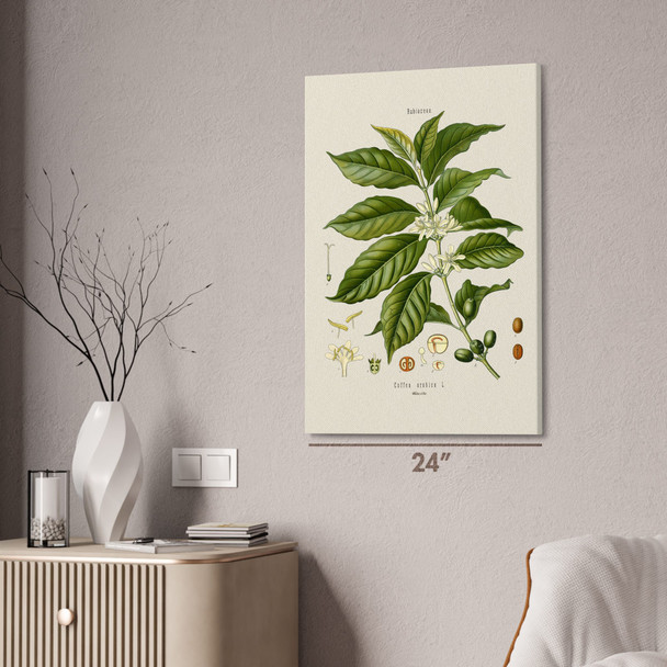 Coffee Botanical Art Print Coffee Botanical Art Print