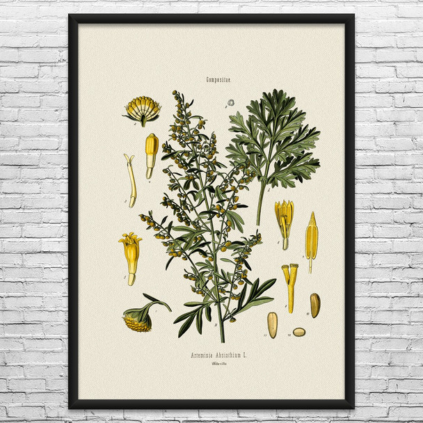 Absinthium Botanical Art Print Absinthium Botanical Art Print